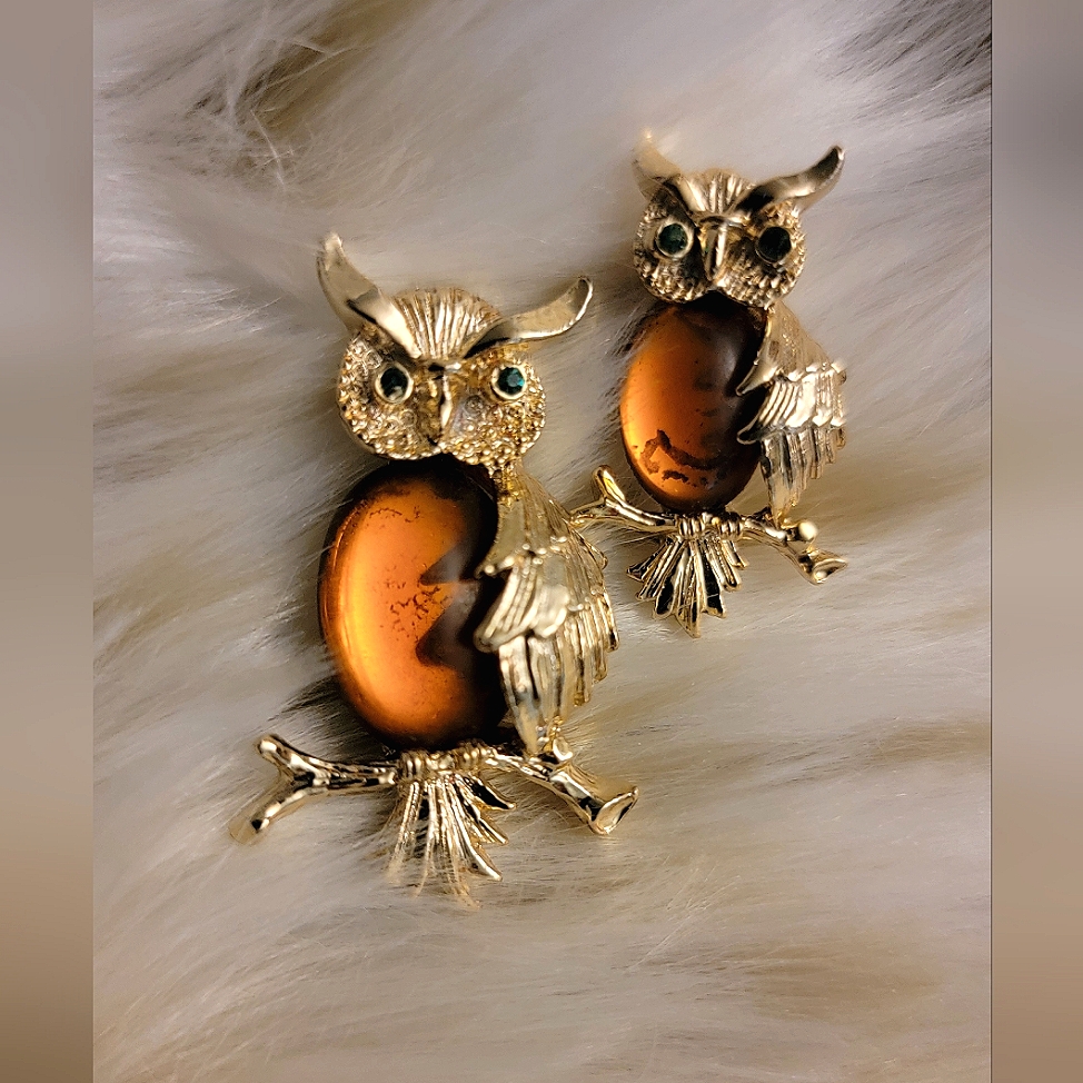 Gerrys Owl Amber Brooch Set 35$